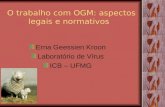 O trabalho com OGM: aspectos legais e normativos Erna Geessien Kroon Laboratório de Vírus ICB – UFMG.