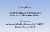 Disciplina: COOPERATIVAS AGRÍCOLAS E DESENVOLVIMENTO RURAL Docentes: Antonio Nivaldo Hespanhol/UNESP Elpídio Serra/UEM.