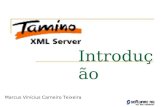 Introdução Marcus Vinícius Carneiro Teixeira. Tópicos Abordados Criando um Banco de Dados Definindo um Schema XML Carregando um Objeto XML Recuperando.