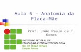 Aula 5 – Anatomia da Placa-Mãe Prof. João Paulo de T. Gomes.
