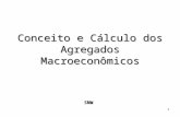 1 Conceito e Cálculo dos Agregados Macroeconômicos SNW.