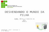 DESVENDANDO O MUNDO DA PILHA TURMA: INF311_2 º Semestre de 2011 PROEJA Orientação: Prof. a Cristiane S. D. R. Moreira.