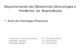Departamento de Obstetrícia Ginecologia e Medicina da Reprodução Aula de Patologia Mamária Anatomia e Desenvolvimento Dr.ª Ana Nobre Pinto Patologia Benigna.
