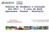 Análise da dinâmica e evolução dos APLs : O caso de Boné Apucarana Paraná – Relatório Prof. Dr. Fabio Scatolin (Coordenador) Prof. Dr. Nilson Maciel de.