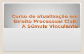 Curso de atualização em Direito Processual Civil: A Súmula Vinculante.