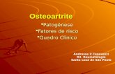 Osteoartrite Patogênese Fatores de risco Quadro Clínico Andressa Z Canavezzi R3- Reumatologia Santa Casa de São Paulo.