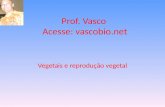 Prof. Vasco Acesse: vascobio.net Vegetais e reprodução vegetal.