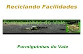 Prof. Hélio L. Costa Jr. Reciclando Facilidades Formiguinhas do Vale.