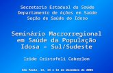 Seminário Macrorregional em Saúde da População Idosa – Sul/Sudeste Iride Cristofoli Caberlon São Paulo, 13, 14 e 15 de dezembro de 2006 Secretaria Estadual.