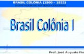 BRASIL COLÔNIA (1500 – 1822) Prof. José Augusto Fiorin MONTAGEM DO SISTEMA COLONIAL.