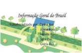 Informação Geral do Brasil Trabalho relizado por: Carina Xue Joana Xiao Helena Hu Sara Zhu Glória Zhu.