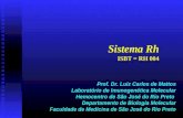 Sistema Rh ISBT = RH 004 Prof. Dr. Luiz Carlos de Mattos Laboratório de Imunogenética Molecular Hemocentro de São José do Rio Preto Departamento de Biologia.