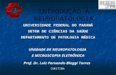 INTRODUÇÃO À NEUROPATOLOGIA UNIVERSIDADE FEDERAL DO PARANÁ SETOR DE CIÊNCIAS DA SAÚDE DEPARTAMENTO DE PATOLOGIA MÉDICA UNIDADE DE NEUROPATOLOGIA E MICROSCOPIA.