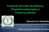 Disciplina de Ortopedia Anderson Sousa Martins da Silva.