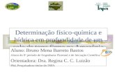 Determinação físico-química e hídrica em profundidade de um solo de terra firme na Amazônia Central Aluno: Bruno Mena Barreto Bastos Aluno do 9 o período.