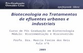 Biotecnologia no Tratamentos de efluentes urbanos e industriais Curso de Pós Graduação em Biotecnologia Módulo: Biorremediação e Bioconversão Profa. Dra.