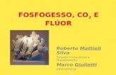 FOSFOGESSO, CO 2 E FLÚOR Roberto Mattioli Silva Tecplan Consultoria e Planejamento Marco Giulietti DEQ-UFSCar.
