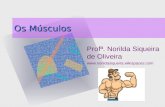 Os Músculos Profª. Norilda Siqueira de Oliveira .
