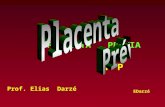 EDarzé PLACENTA PRÉVIA P P Prof. Elias Darzé. EDarzé Placenta Prévia - Conceito Placenta Prévia, termo genérico, abrange hoje todas as inserções da placenta.