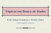 Tópicos em Banco de Dados Prof. Edson Scalabrin e Aroldo Vieira avieira@bsi.com.br.