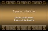 Agentes na Internet Patrícia Nunes Pereira Professor: Geber Ramalho.