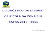 DIAGNÓSTICO DA LAVOURA ORIZÍCOLA DA ZONA SUL SAFRA 2010 - 2011 FONTE: Coordenadoria Regional Zona Sul.