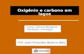 Oxigênio e carbono em lagos Curso: Ciências Biológicas Disciplina: Limnologia Prof. José Fernandes Bezerra Neto.