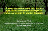 O agroecossistema como base para a agricultura sustentada com especial ênfase ao manejo de plantas daninhas Robinson A. Pitelli Núcleo de Estudos e Pesquisas