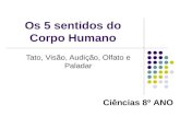Os 5 sentidos do Corpo Humano Tato, Visão, Audição, Olfato e Paladar Ciências 8º ANO.