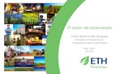 O setor da bioenergia II Foro Brasil-União Européia Energia e Infraestrutura necessárias para crescimento May, 2010 Luis Felli.