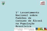 1º Levantamento Nacional sobre Padrões de Consumo de Álcool na População Brasileira.