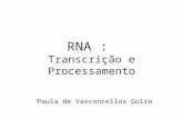 RNA : Transcrição e Processamento Paula de Vasconcellos Golin.