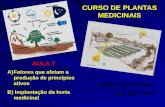 CURSO DE PLANTAS MEDICINAIS A)Fatores que afetam a produção de princípios ativos B) Implantação da horta medicinal Adão Luiz C. Martins Engº agrônomo AULA.