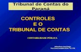 1 CONTROLES E O TRIBUNAL DE CONTAS TRIBUNAL DE CONTAS Edemilson José Pego Téc.Cont.Contábil-DCM / TC / PR Edemilson José Pego Téc.Cont.Contábil-DCM / TC.