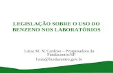 LEGISLAÇÃO SOBRE O USO DO BENZENO NOS LABORATÓRIOS Luiza M. N. Cardoso – Pesquisadora da Fundacentro/SP luiza@fundacentro.gov.br.