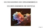 OS INVASORES DO ORGANISMOS E OS MECANISMOS DE DEFESA Cap 1.