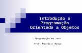 Introdução a Programação Orientada a Objetos Programação em Java Prof. Maurício Braga.