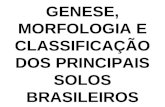 GENESE, MORFOLOGIA E CLASSIFICAÇÃO DOS PRINCIPAIS SOLOS BRASILEIROS.