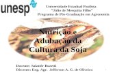Universidade Estadual Paulista Júlio de Mesquita Filho Programa de Pós-Graduação em Agronomia Docente: Salatiér Buzetti Discente: Eng. Agr. Jefferson A.