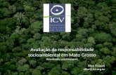 Instituto Centro de Vida -ICV Avaliação da responsabilidade socioambiental em Mato Grosso Resultados preliminares Alice Thuault alice@icv.org.br.