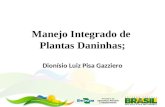 Manejo Integrado de Plantas Daninhas; Dionísio Luiz Pisa Gazziero.