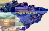 Regiões do Brasil. Região Nordeste O NORDESTE.