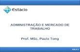 ADMINISTRAÇÃO E MERCADO DE TRABALHO 1 AULA 3 Prof. MSc. Paulo Tong.