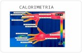 Calorimetria CALORIMETRIA. FÍSICA » CADERNO 5 » CAPÍTULO 2 Clique sobre tema desejado. Calor Equação fundamental da calorimetria Sistema termicamente.