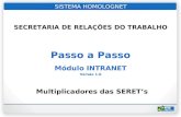 SISTEMA HOMOLOGNET SECRETARIA DE RELAÇÕES DO TRABALHO Multiplicadores das SERETs Passo a Passo Módulo INTRANET Versão 1.0.
