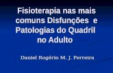 Fisioterapia nas mais comuns Disfunções e Patologias do Quadril no Adulto Daniel Rogério M. J. Ferreira.