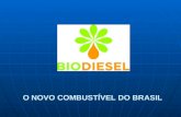 O NOVO COMBUSTÍVEL DO BRASIL. CIENCIAS NATURAIS E EXATAS Biodiesel Princípio, Impacto Ambiental, Economia e Visão Brasil - Mundial Componentes do Grupo.