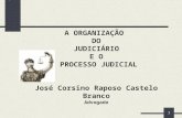 1 A ORGANIZAÇÃO DO JUDICIÁRIO E O PROCESSO JUDICIAL José Corsino Raposo Castelo Branco Advogado.