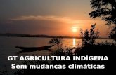 GT AGRICULTURA INDÍGENA Sem mudanças climáticas. Agricultura Indígena Regida pelos ciclos da chuva, da lua, do sol, do tempo; Existe um tempo de plantar.