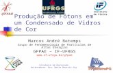 Produção de Fótons em um Condensado de Vidros de Cor Marcos André Betemps Grupo de Fenomenologia de Partículas de Altas Energias GFPAE – IF-UFRGS .